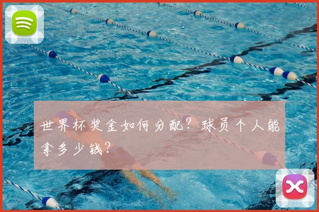 世界杯奖金如何分配？球员个人能拿多少钱？