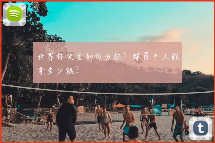世界杯奖金如何分配？球员个人能拿多少钱？
