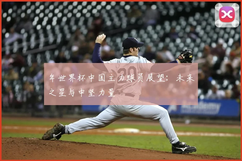 年世界杯中国主力球员展望:未来之星与中坚力量