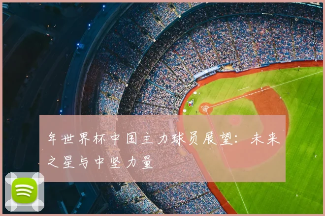 年世界杯中国主力球员展望：未来之星与中坚力量
